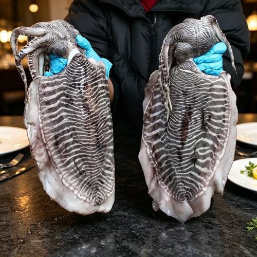 Frozen Raw Whole Giant Cuttlefish